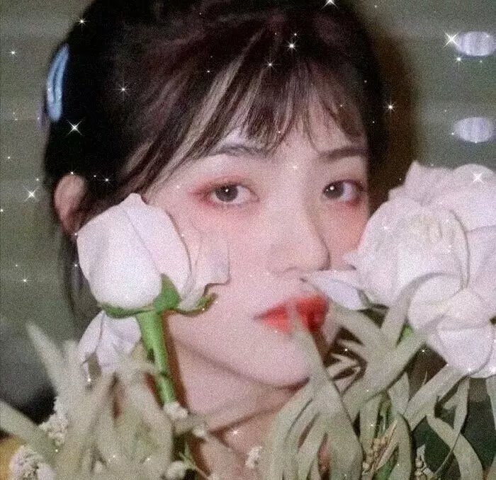 一万个丛林夜